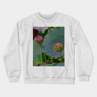 Alchemia, Lotus Seed heads (Just the Two of Us) Crewneck Sweatshirt